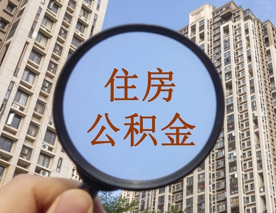 洛阳退休后查不到公积金明细了吗（退休后公积金查询不到原因）